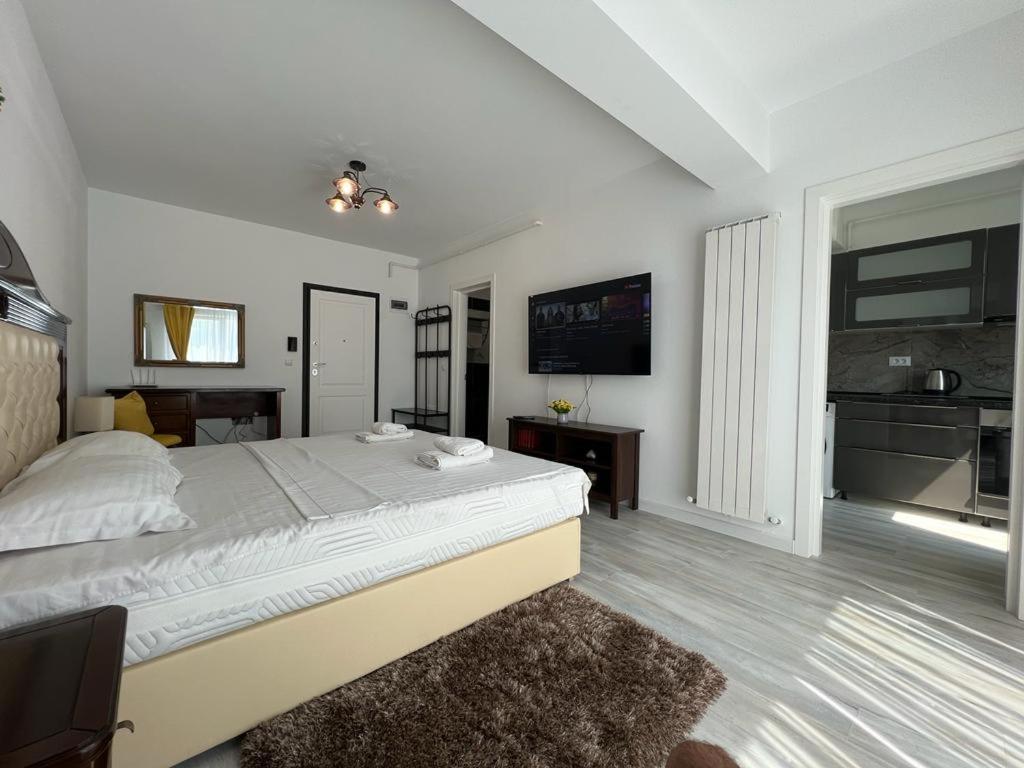 Urban Apartments And Studios - City Center Iasi Exteriör bild